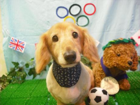 ファイル 4484-2.jpg