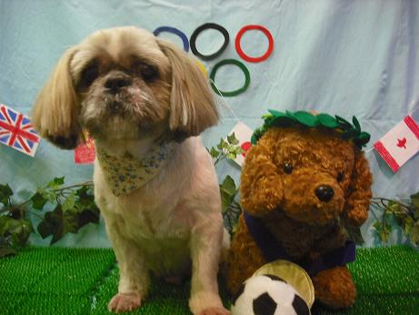 ファイル 4485-1.jpg