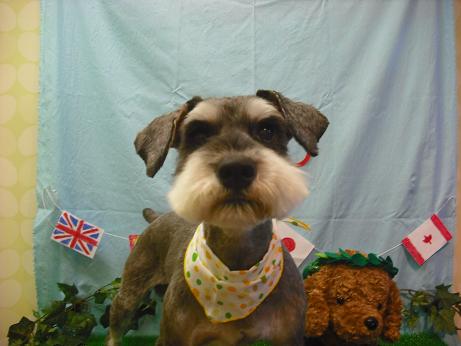 ファイル 4486-2.jpg