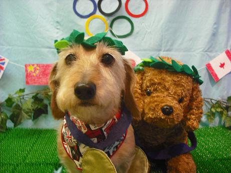 ファイル 4489-1.jpg