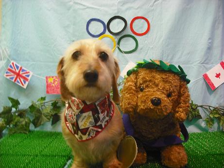 ファイル 4489-2.jpg