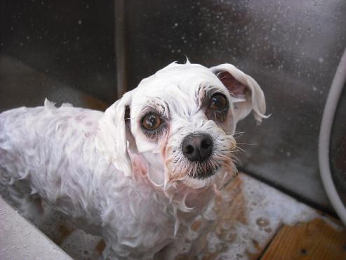 ファイル 449-2.jpg