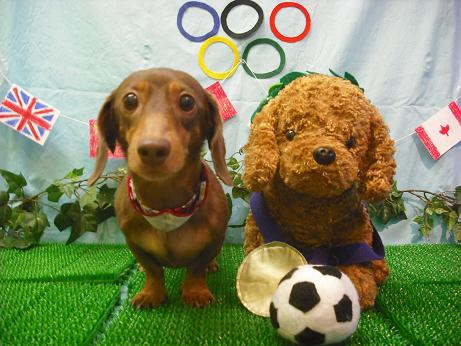 ファイル 4490-2.jpg