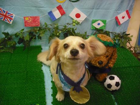 ファイル 4491-1.jpg