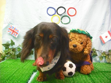 ファイル 4492-2.jpg