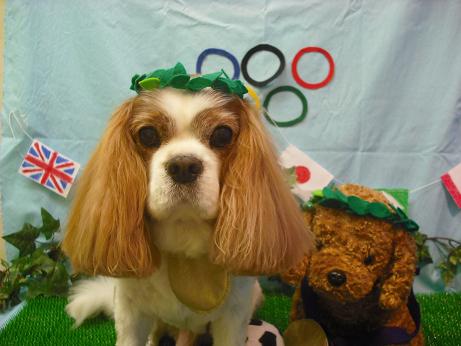 ファイル 4493-1.jpg