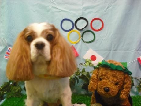 ファイル 4493-2.jpg