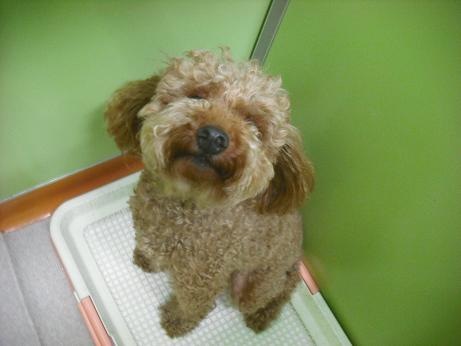 ファイル 4495-1.jpg