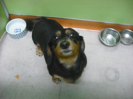 ファイル 4497-1.jpg