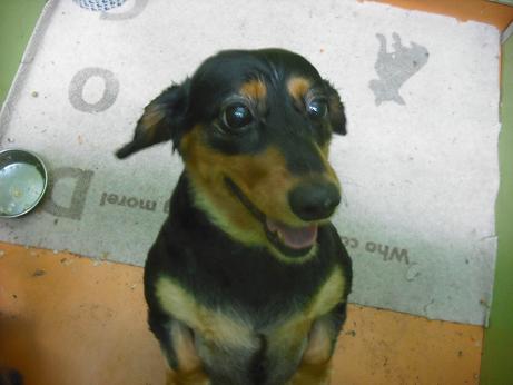 ファイル 4497-2.jpg