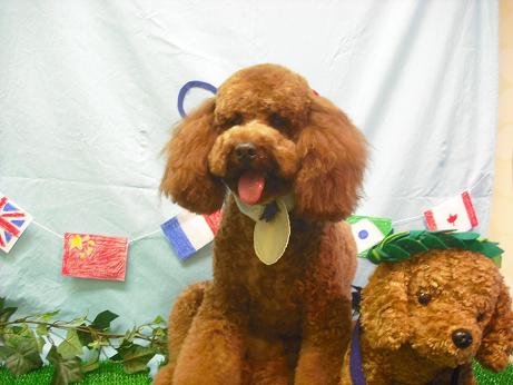 ファイル 4498-2.jpg