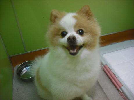 ファイル 4499-1.jpg