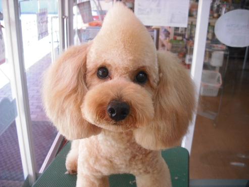 ファイル 45-1.jpg