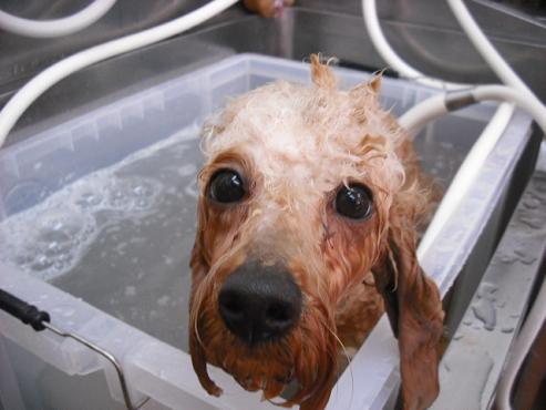 ファイル 45-2.jpg