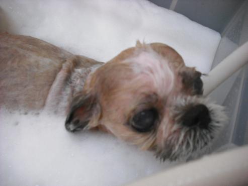 ファイル 450-2.jpg