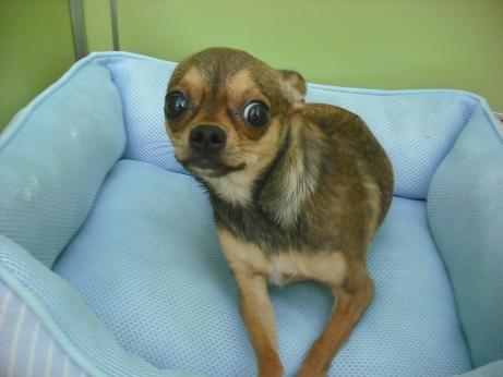 ファイル 4503-1.jpg