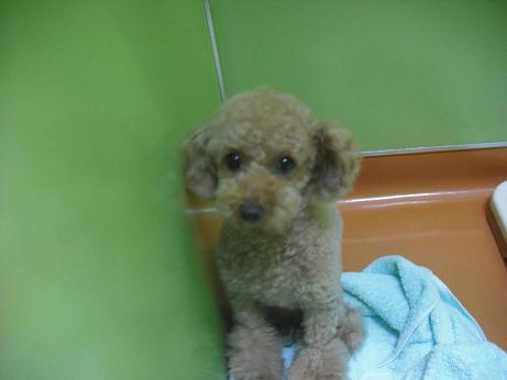 ファイル 4504-1.jpg