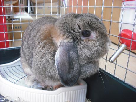 ファイル 4505-1.jpg