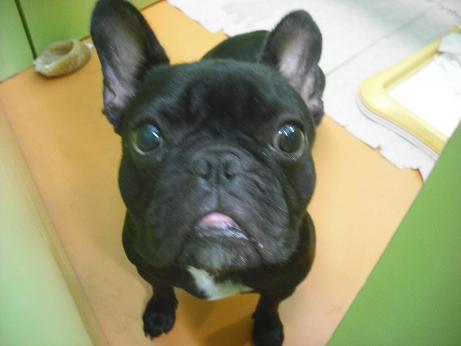 ファイル 4507-1.jpg