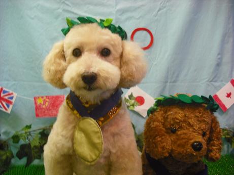 ファイル 4508-1.jpg