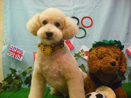 ファイル 4508-2.jpg