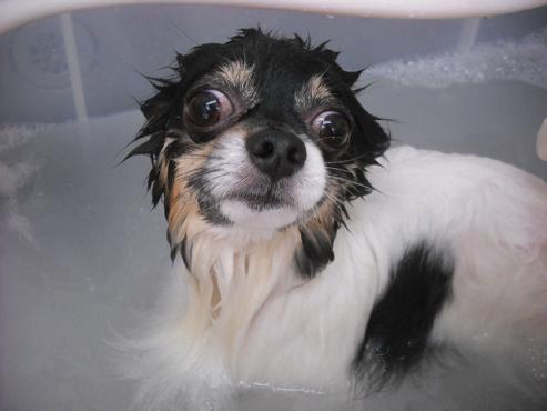 ファイル 451-2.jpg