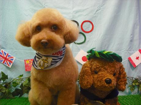 ファイル 4515-2.jpg