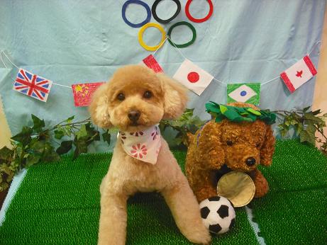 ファイル 4516-2.jpg