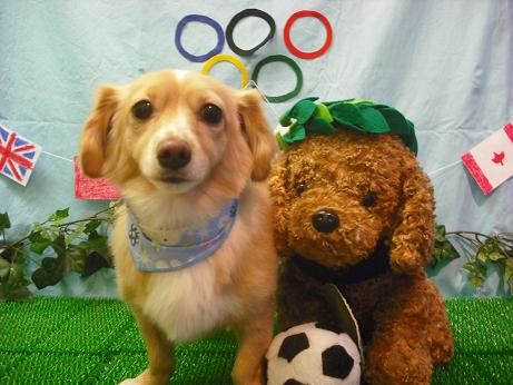 ファイル 4519-2.jpg