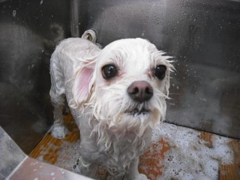 ファイル 452-2.jpg