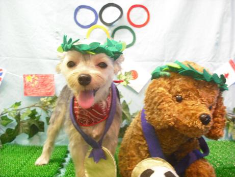 ファイル 4520-1.jpg