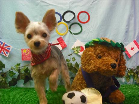 ファイル 4520-2.jpg