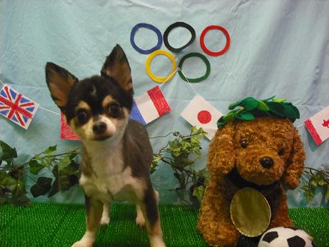 ファイル 4521-2.jpg