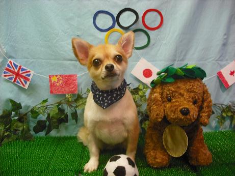 ファイル 4522-2.jpg