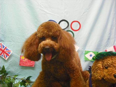 ファイル 4524-2.jpg