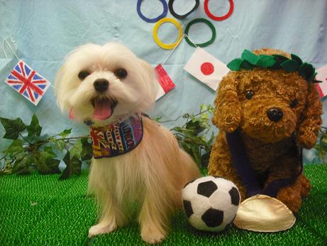 ファイル 4525-2.jpg