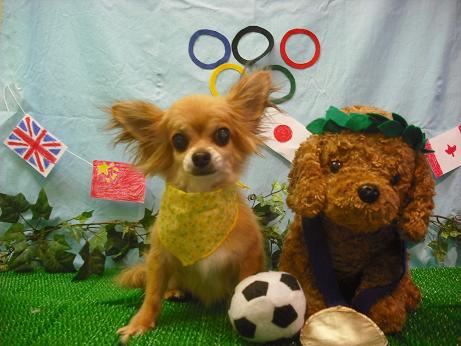 ファイル 4526-2.jpg