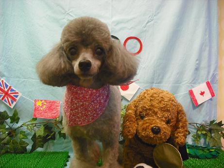 ファイル 4527-2.jpg