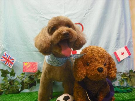 ファイル 4528-2.jpg