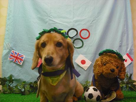 ファイル 4529-1.jpg