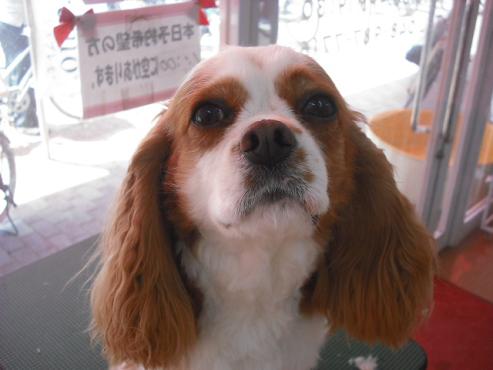 ファイル 453-1.jpg