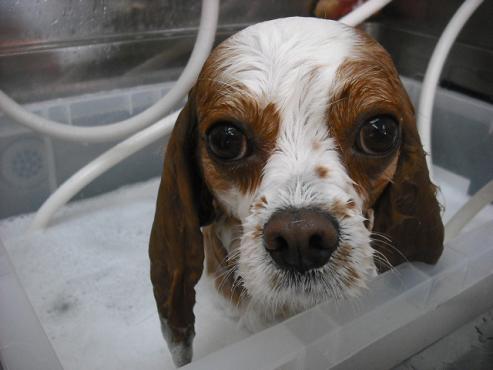 ファイル 453-2.jpg