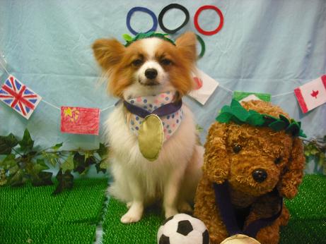 ファイル 4531-1.jpg