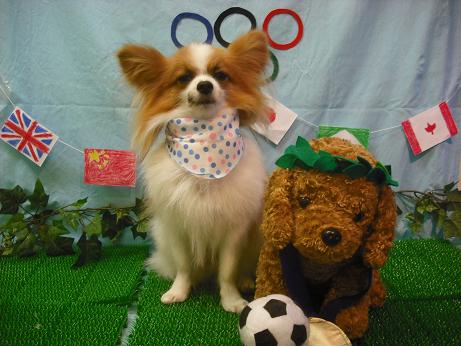 ファイル 4531-2.jpg