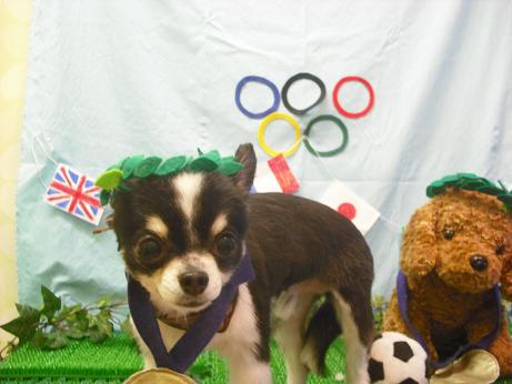 ファイル 4533-1.jpg