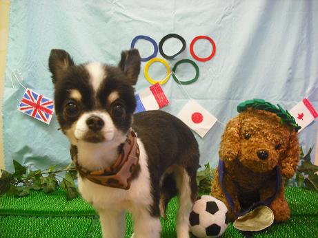 ファイル 4533-2.jpg