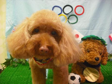 ファイル 4534-2.jpg