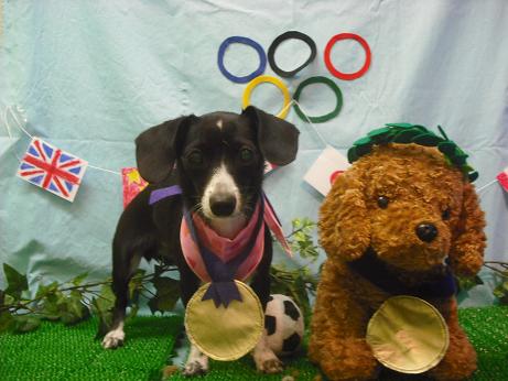 ファイル 4535-1.jpg