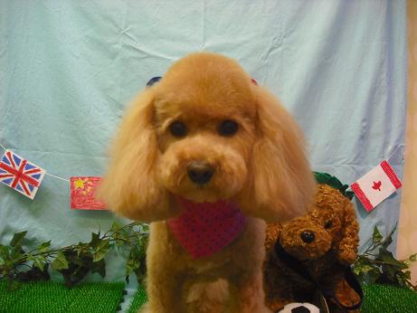 ファイル 4536-2.jpg