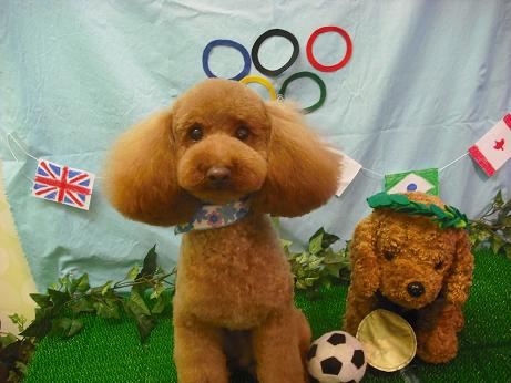 ファイル 4537-2.jpg